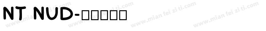 NT NUD字体转换